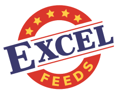 Excel Feeds